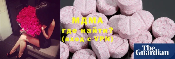 дмт Богданович