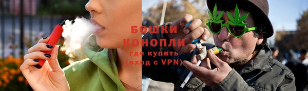 дмт Богданович