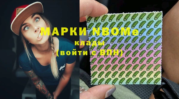 дмт Богданович