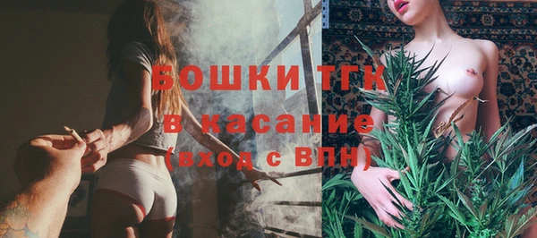 дмт Богданович