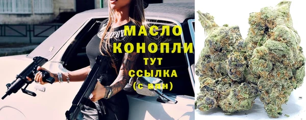 дмт Богданович