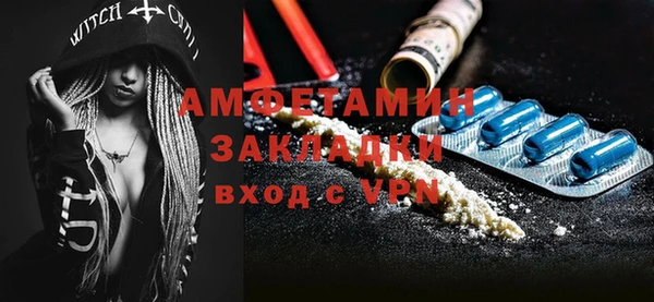 дмт Богданович