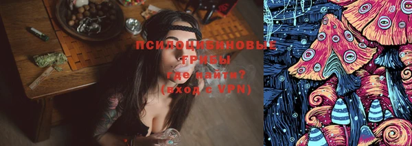 дмт Богданович