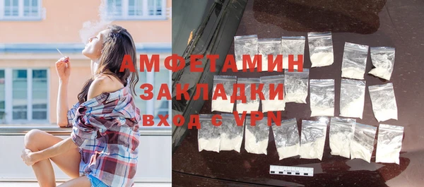 дмт Богданович
