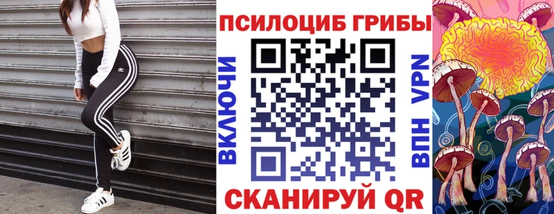 кракен ссылки  Клинцы  Галлюциногенные грибы мухоморы 